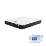 07022025_1267969$Imagec1