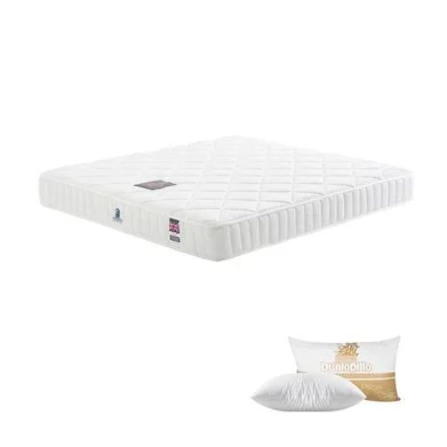 11092024_1208225$Imagec1