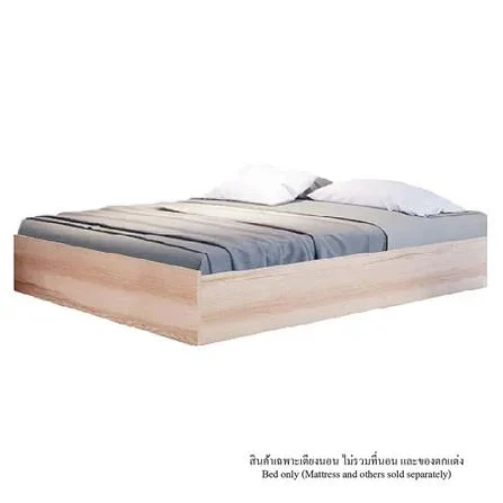 27012025_1201063$Imagec1