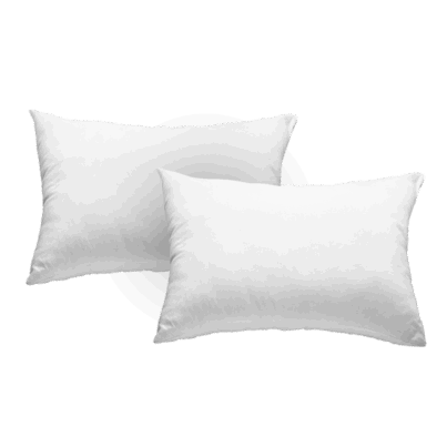 resize_1000x1000_cover_img-1747110024294-หมอนโพลีเอสเตอร์-แพ็คคู่-พื้นใส