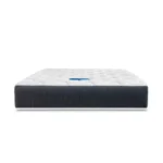 resize_447x447_cover_img-1739177462124-SKU_Homepro_(1)_PylaPlus-08